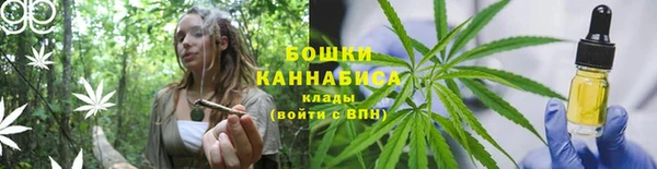 каннабис Осташков
