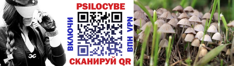 цены наркотик  Пестово  Галлюциногенные грибы прущие грибы 